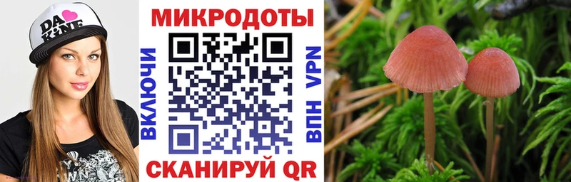 Галлюциногенные грибы Magic Shrooms  Сольцы 